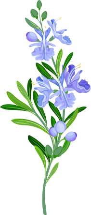 Feuillage bleu illustré