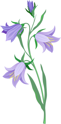 Fleur violette