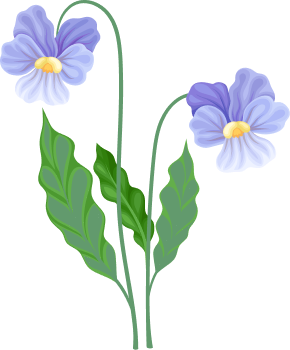 Fleur violette