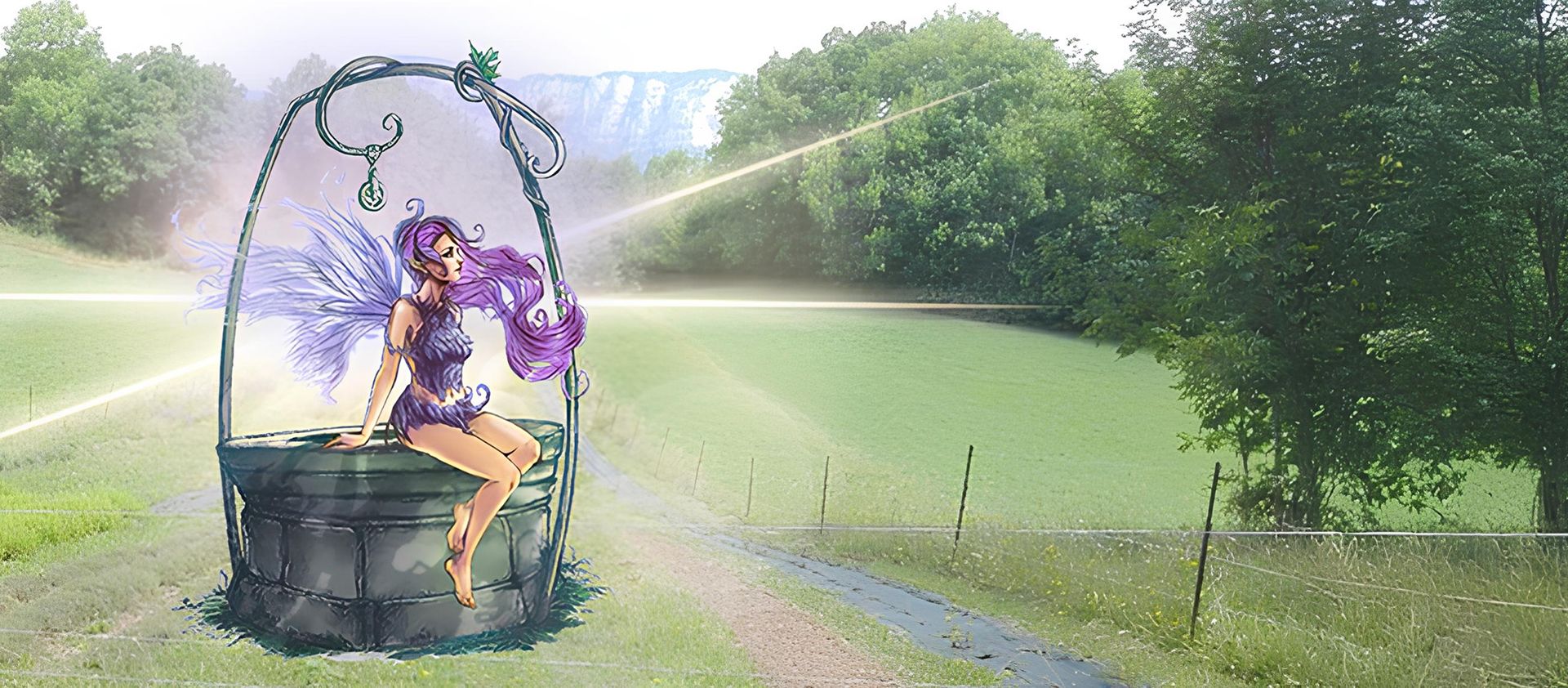 Paysage vallée verte